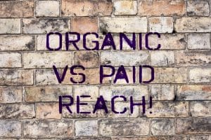 Organic vs paid traffic